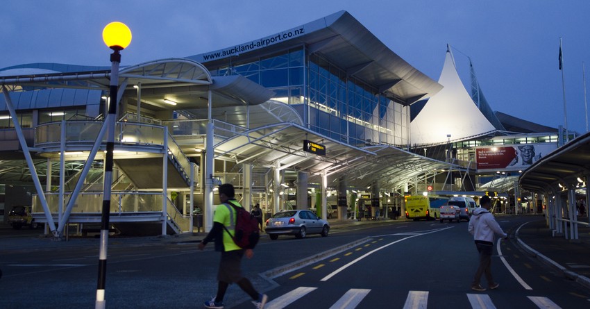 how to reach auckland airport